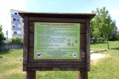IMG_20210615_125620