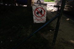 IMG_20210610_100232