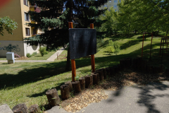 IMG_20220601_140350