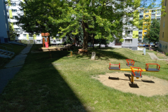 IMG_20220601_140438
