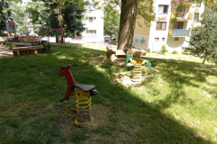 IMG_20220601_140505