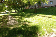 IMG_20210616_135621