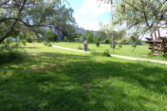 IMG_20210526_150205