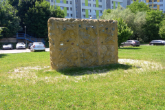 IMG_20210615_133749