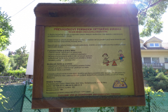 IMG_20210628_092338