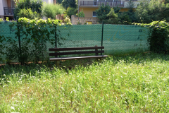IMG_20210628_092350
