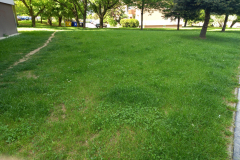 IMG_20210518_140358