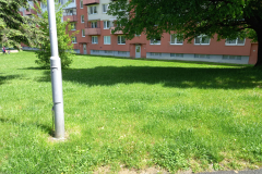 IMG_20210518_140407