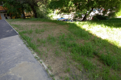 IMG_20210526_155445