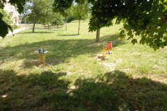 IMG_20210617_135022