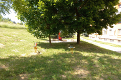 IMG_20210617_135105