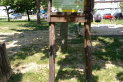 IMG_20210617_142718
