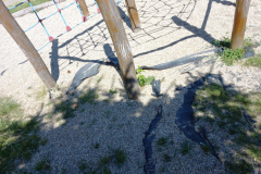 IMG_20210616_142546