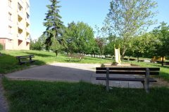IMG_20210616_090525