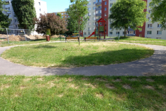 IMG_20210616_093839