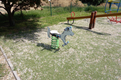 IMG_20210616_093930