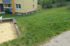 IMG_20210512_153654