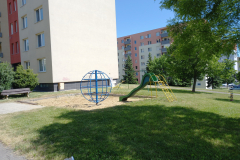 IMG_20210616_095859