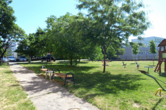 IMG_20210616_101835