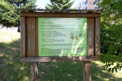 IMG_20210616_102214