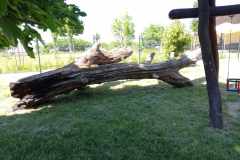 IMG_20210616_102258