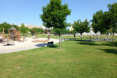 IMG_20210604_085344