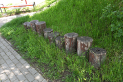 IMG_20210521_100647