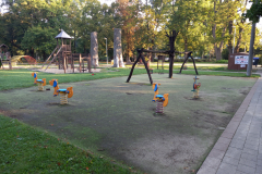 IMG_20210926_081016