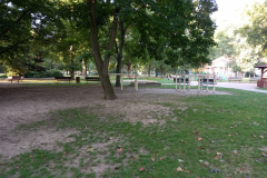 IMG_20210926_082354