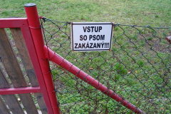 DSC00015