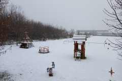IMG_20211210_084228