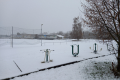 IMG_20211210_084416