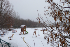 IMG_20211210_084521