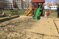 IMG_2433
