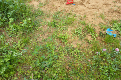 IMG_20210525_081817