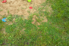 IMG_20210525_081828