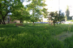 IMG_20210528_081826