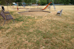 IMG_20210709_150430