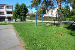 IMG_20210528_092329