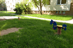 IMG_20210528_083853