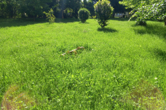 IMG_20210528_083359