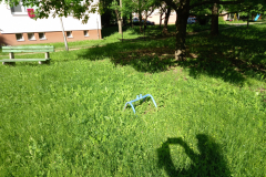 IMG_20210528_083448