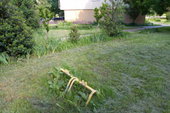 IMG_20210528_084525